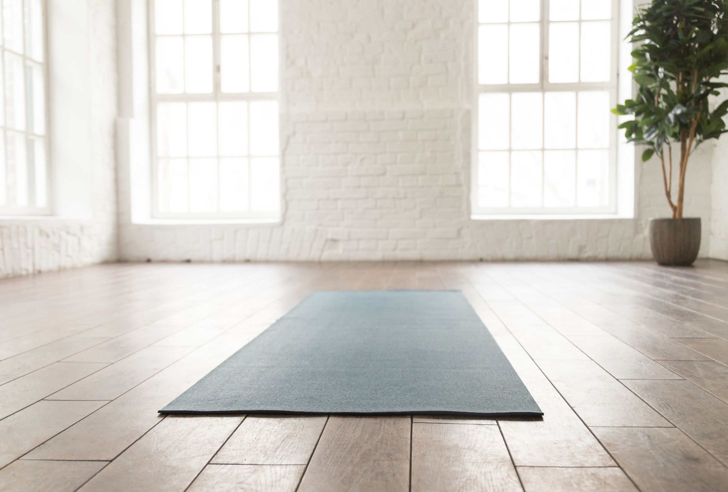Katnook Yoga in the stables